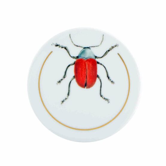 Insects Sets Of 6 Coasters