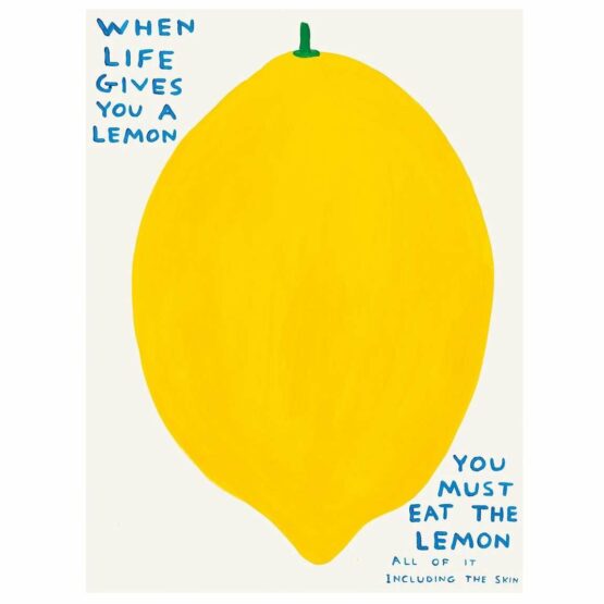 David-Shrigley-When-Life-Gives-You-A-Lemon artwork